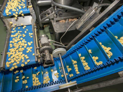 schakelband voor pastaverwerking in de voedings middelen industrie